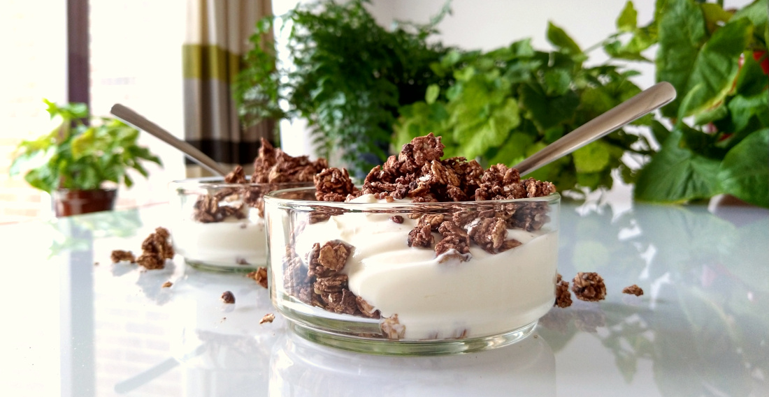 Chocoladegranola met Griekse yoghurt in twee schaaltjes op tafel met groene planten op de achtergrond