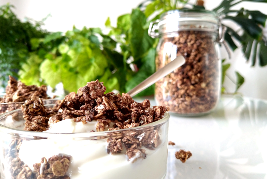 Glazen schaaltje met yoghurt en zelfgemaakte chocoladegranola in hoek van het beeld met groene planten en granola in pot op de achtergrond