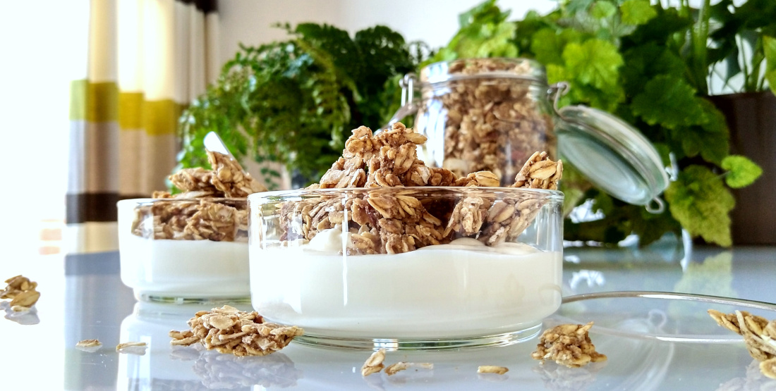 Kastanjegranola met honing en anijs - in schaaltjes met yoghurt - planten en gordijn op achtergrond